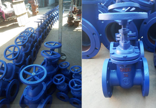 上海某泵閥廠新鄉(xiāng)污水處理項目選擇般德閥門