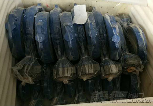 般德渦輪蝶閥、止回閥、過濾器等出口以色列