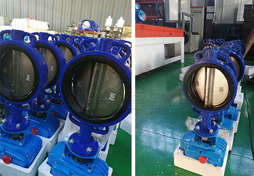 般德蝶閥、閘閥產(chǎn)品出口菲律賓