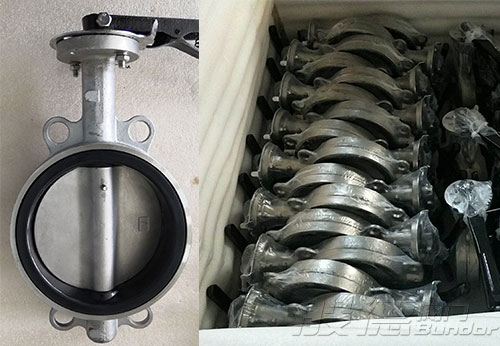 菲律賓客戶采購不銹鋼對(duì)夾手柄蝶閥D71X-16P