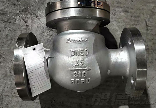 般德不銹鋼截止閥、旋啟式止回閥出口南非