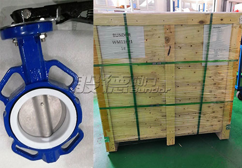 般德對夾蝶閥、蝶式止回閥出口阿根廷