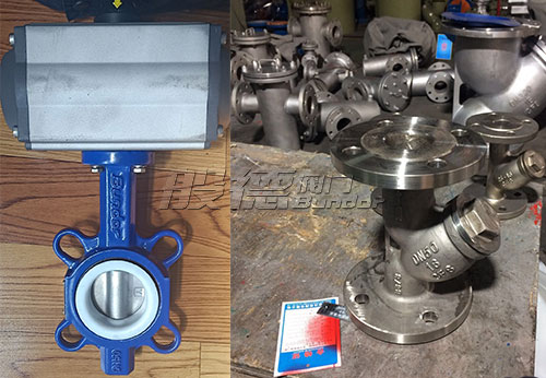 印尼客戶從般德采購蝶閥、止回閥、球閥等