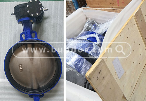 般德軟靠背對(duì)夾蝶閥出口至南非