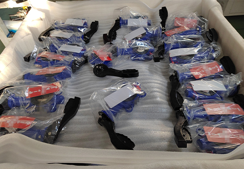 般德中線對夾蝶閥出口波蘭