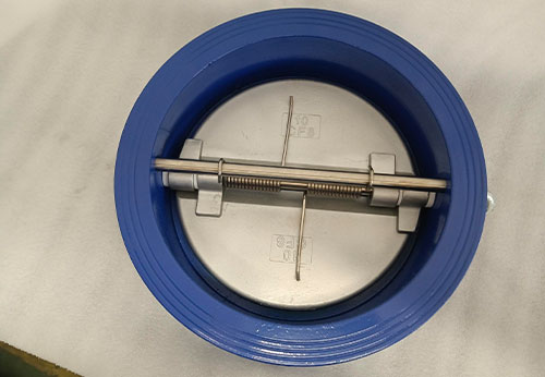 江蘇某公司國外項(xiàng)目采購般德蝶式止回閥